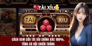 cách xem cầu tài xỉu chính xác tăng cơ hội chiến thắng