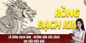 lô rồng bạch kim